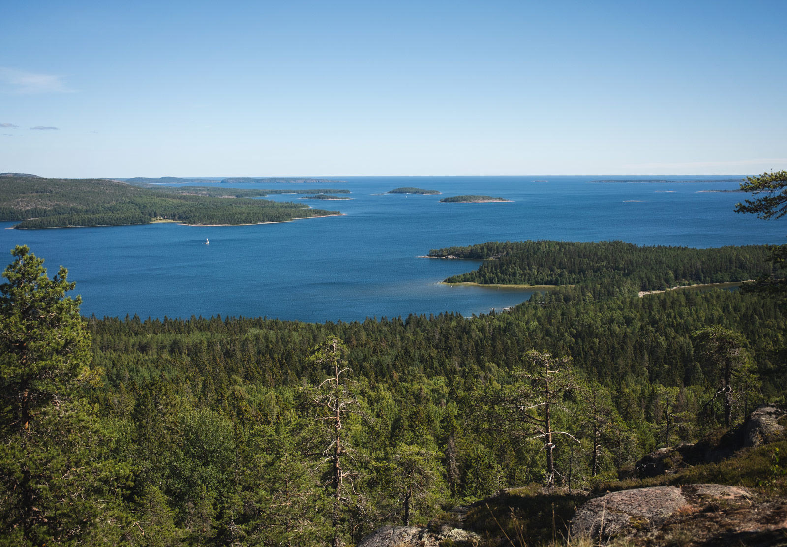 View over water and forest