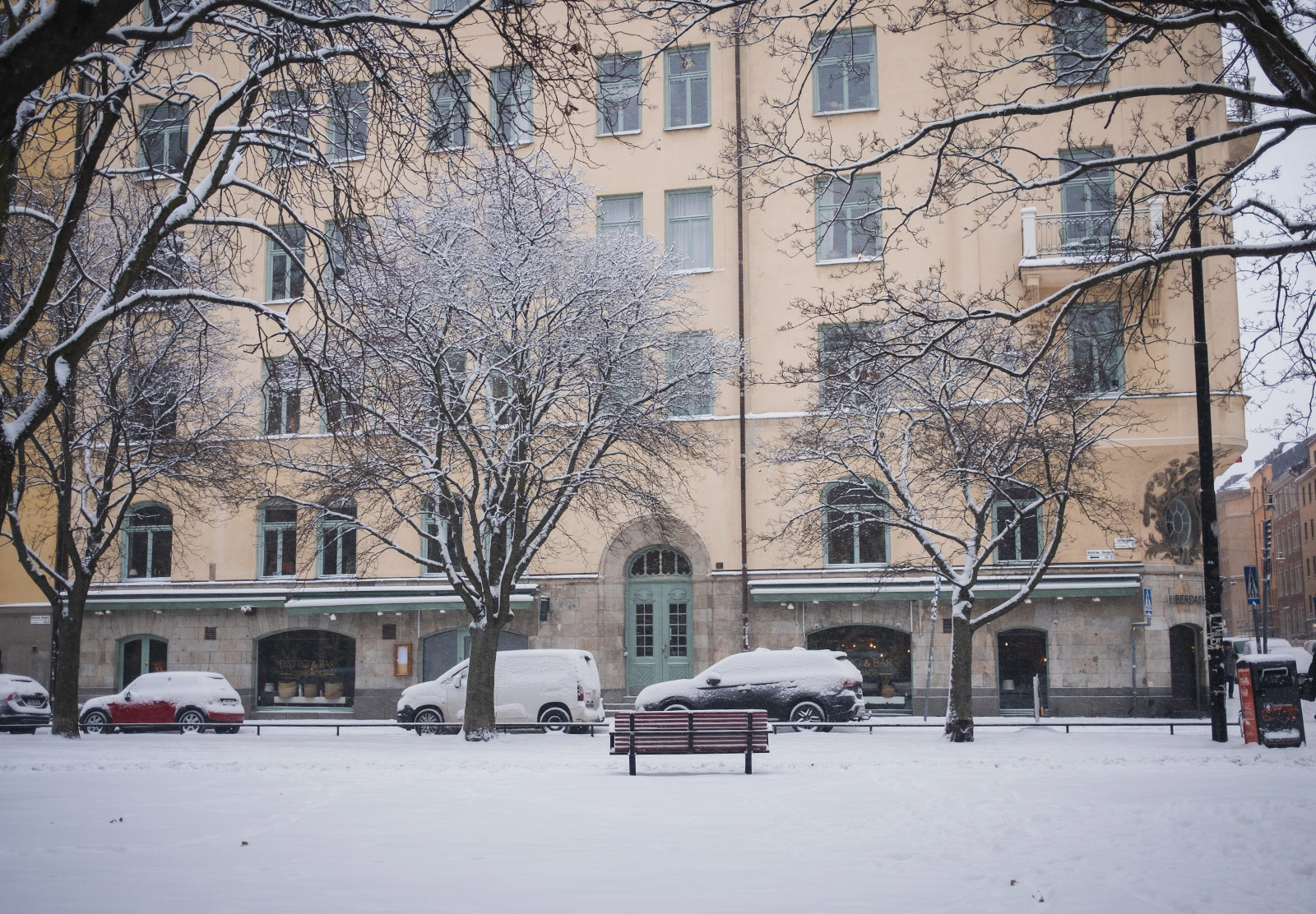 Snow covered park