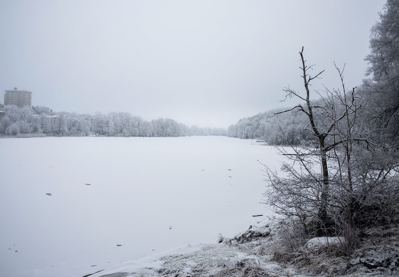Snow covering lake