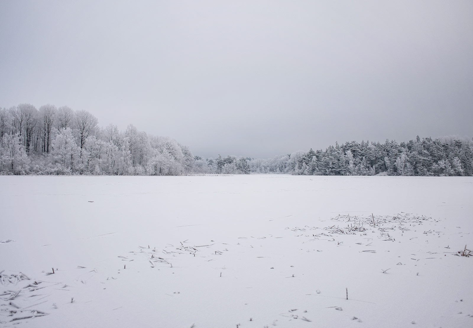 Large lake covered in snow