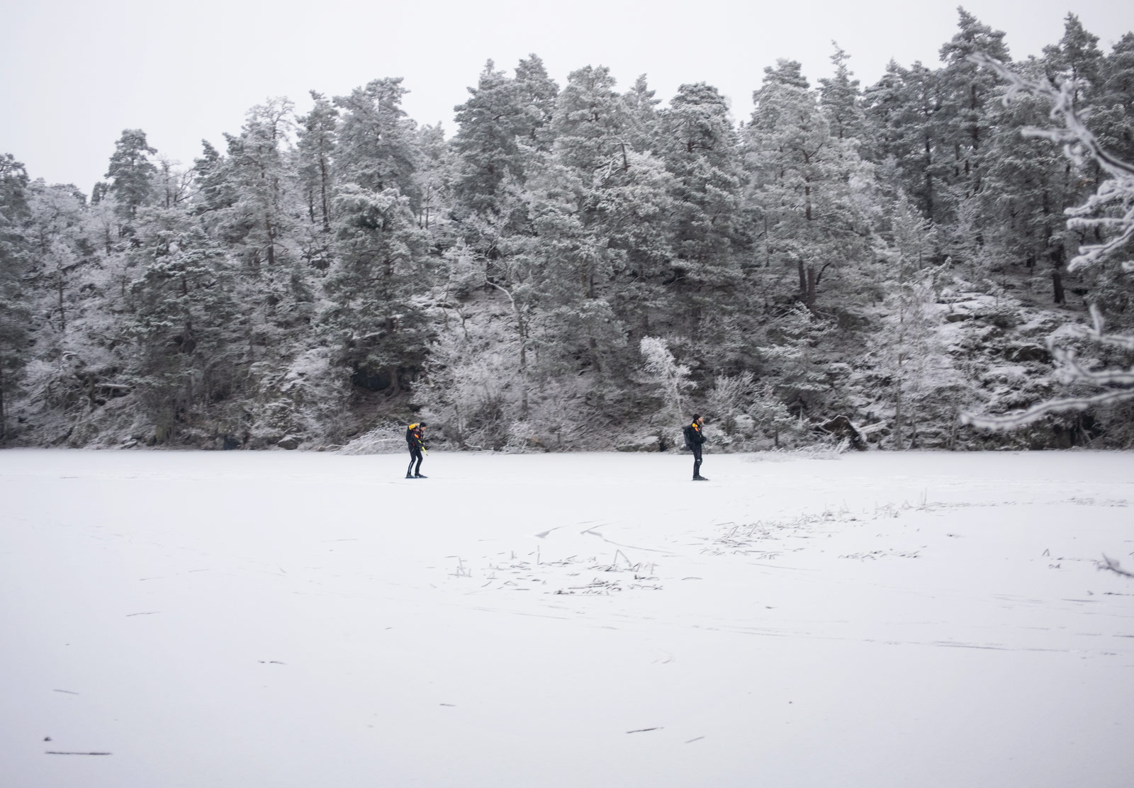 People skating on ice