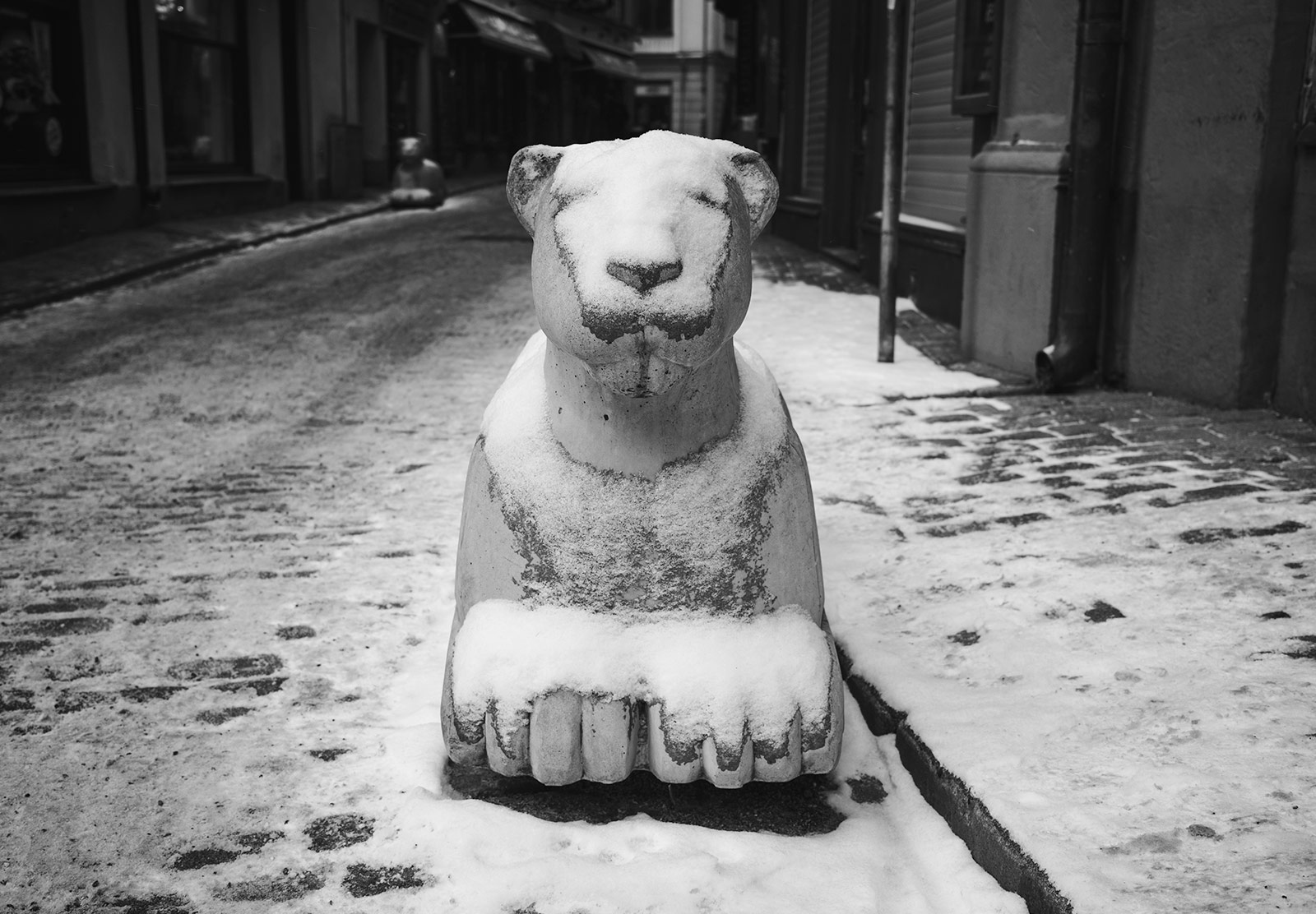 Snow on concrete lion