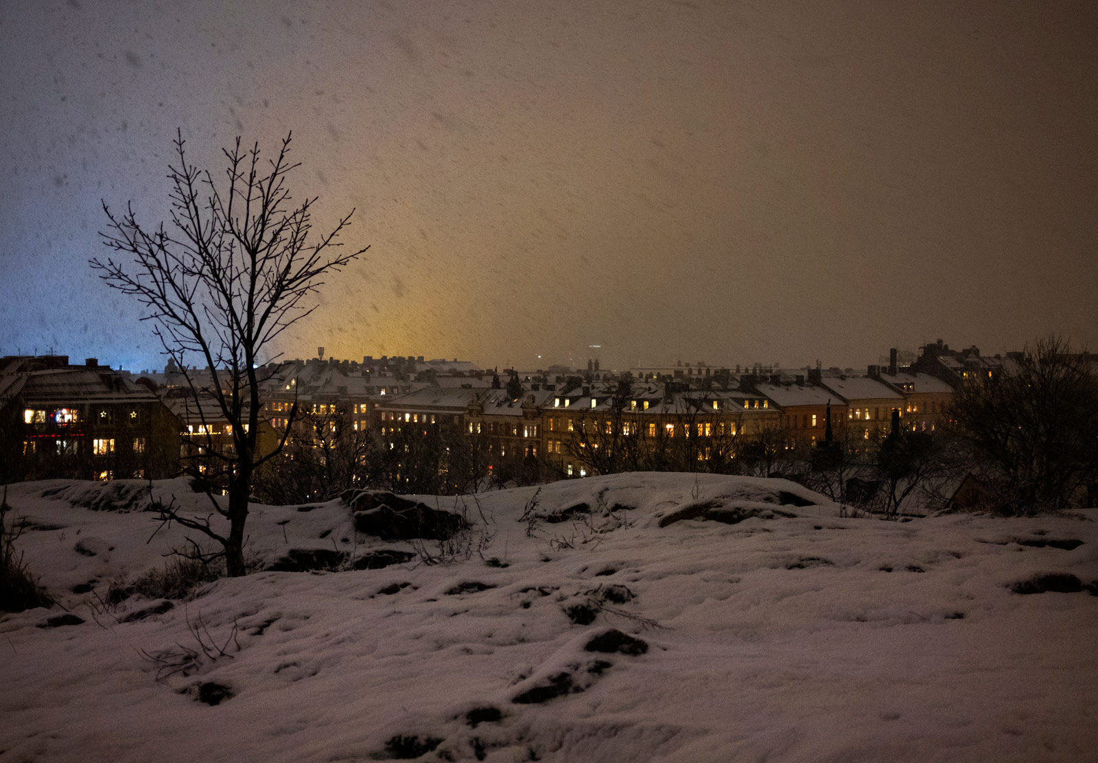 View of snow on rooftops