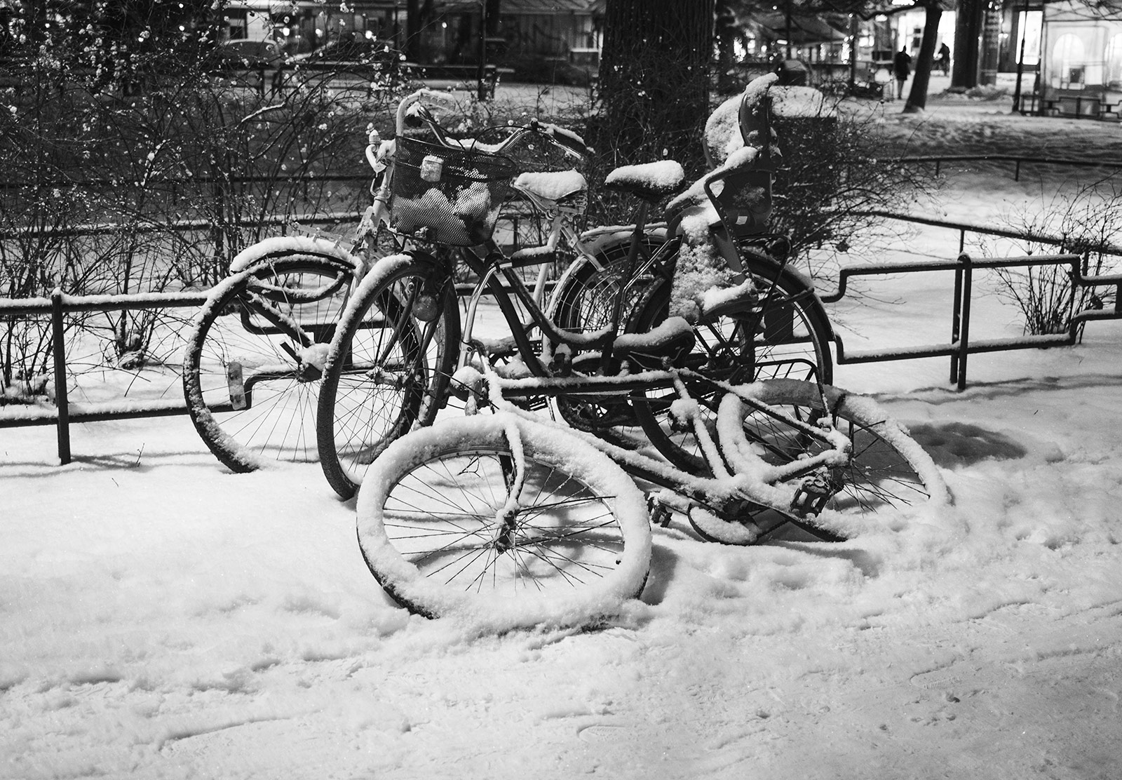Snow covered bikes