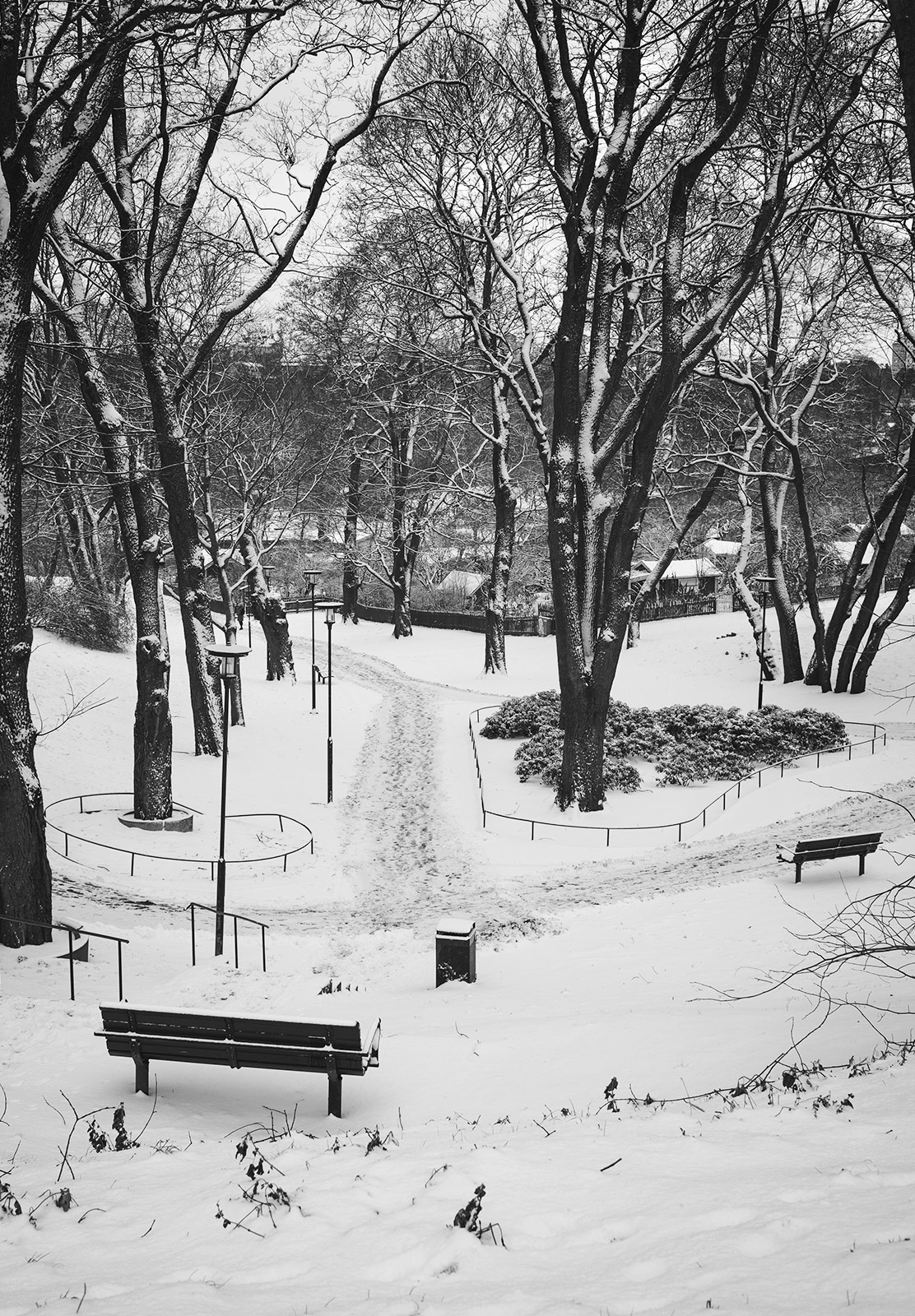 Bench overlooking snowy park