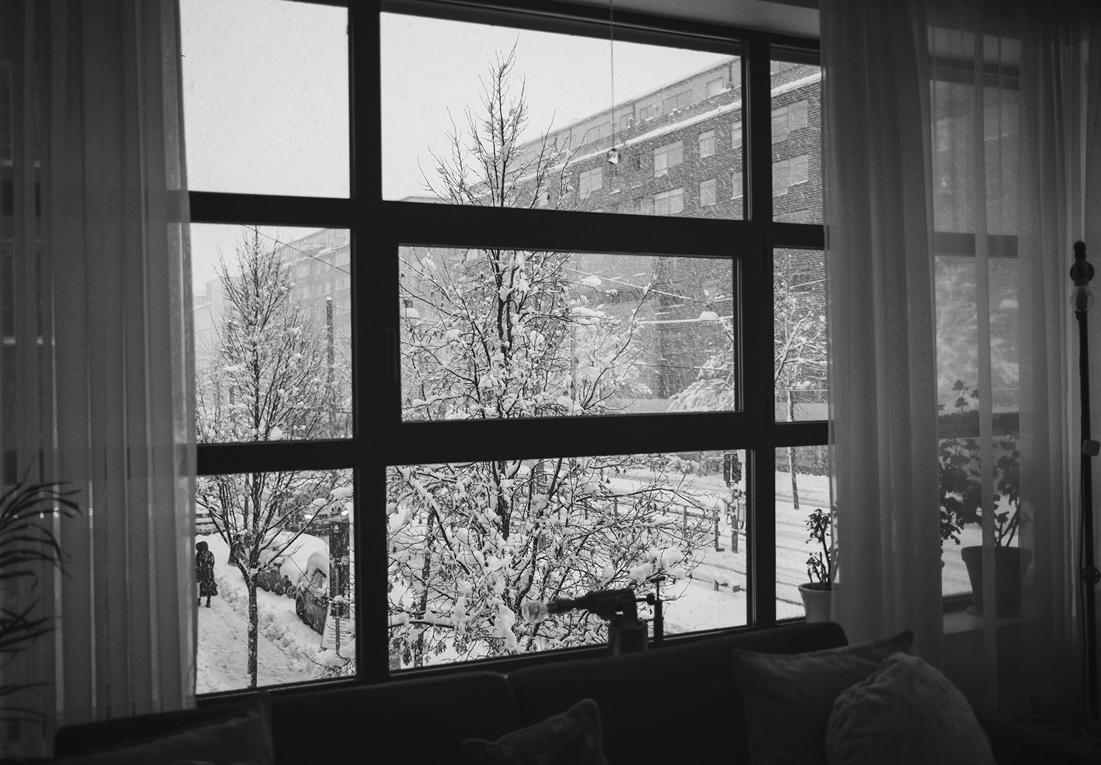 View of snow through window