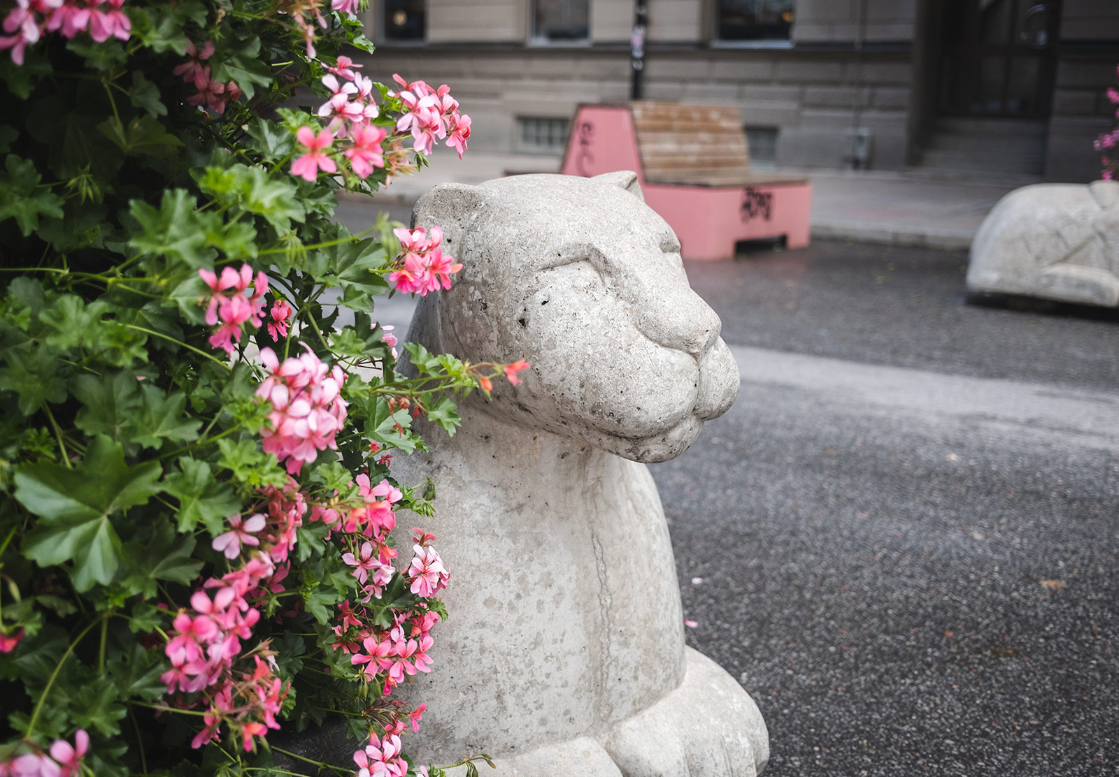 Concrete lion face