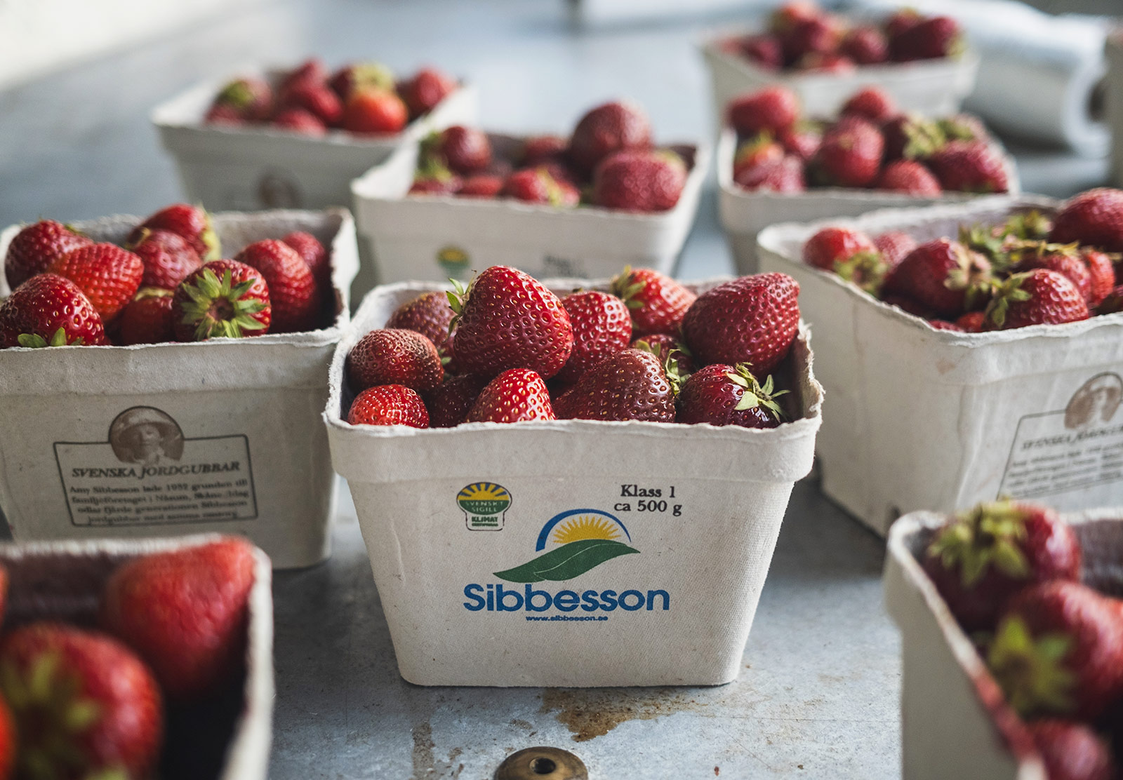 Boxes of strawberries