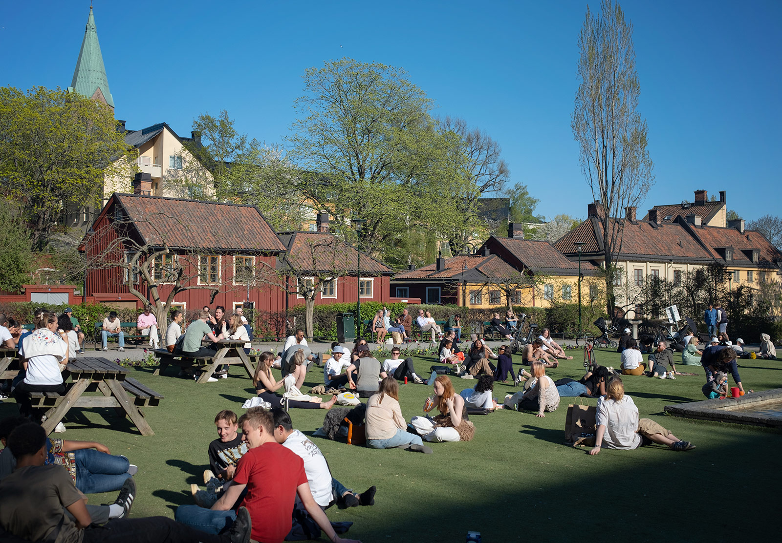 People sitting in the sun