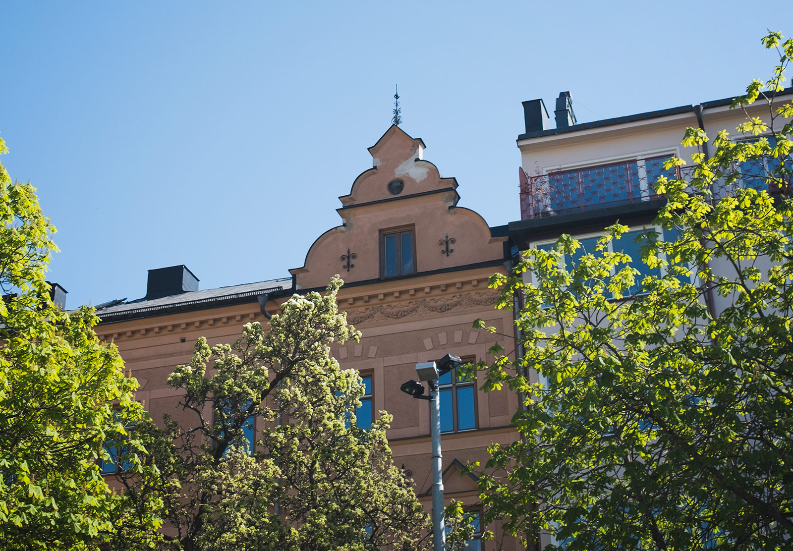 View of ornate rooftop through the trees