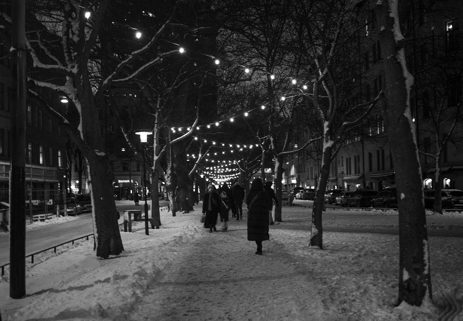 Lights in trees
