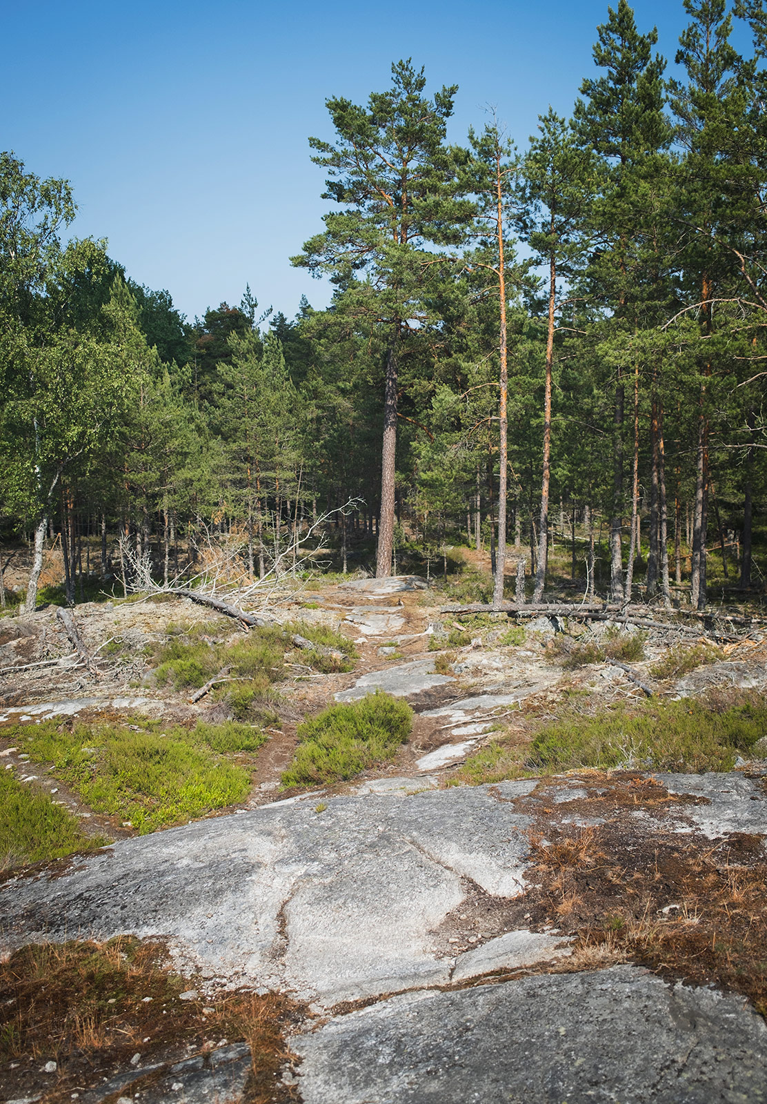 Large rocks on forest path