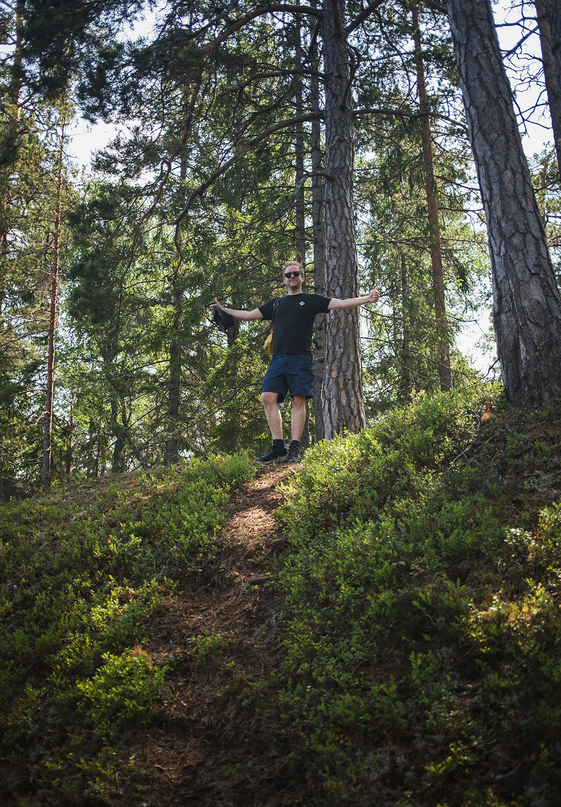 Man standing at the top of forest trail