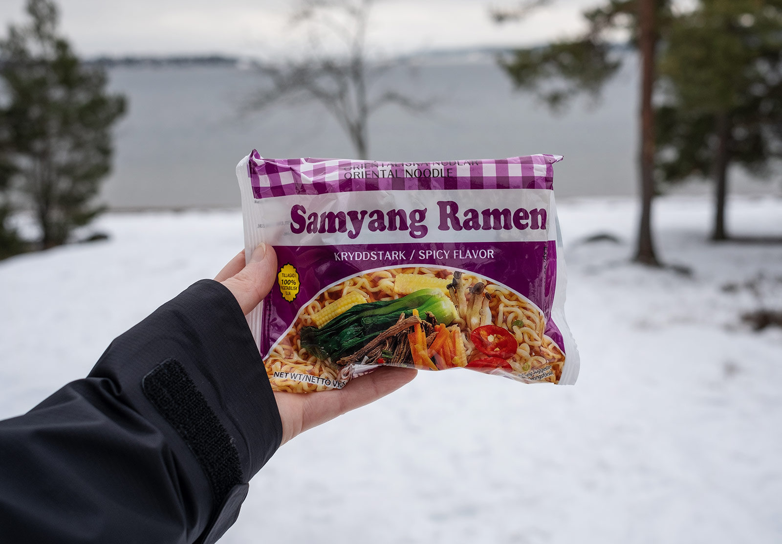 Bag of dried noodles