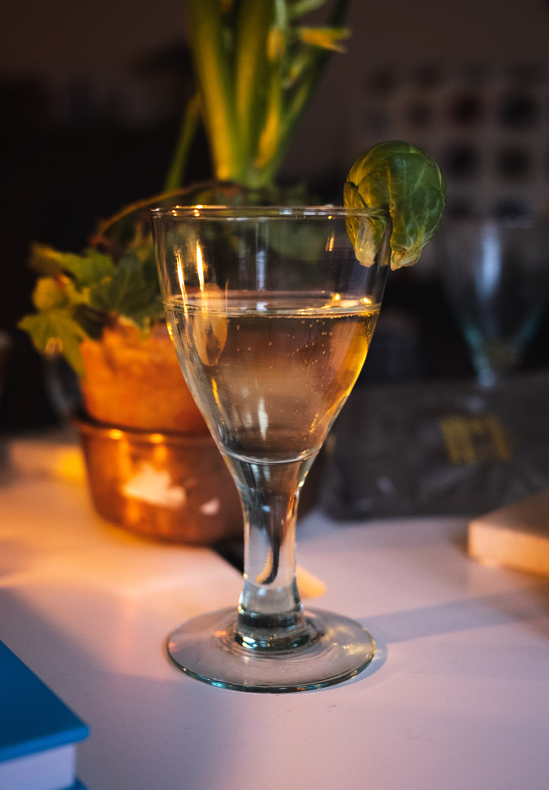 Sprout on wine glass