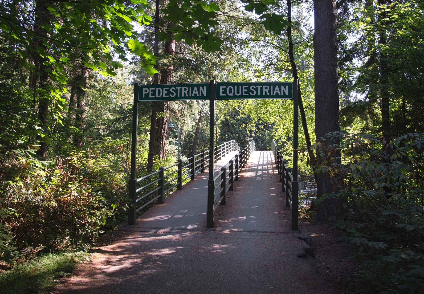 Footpath and equestrian path