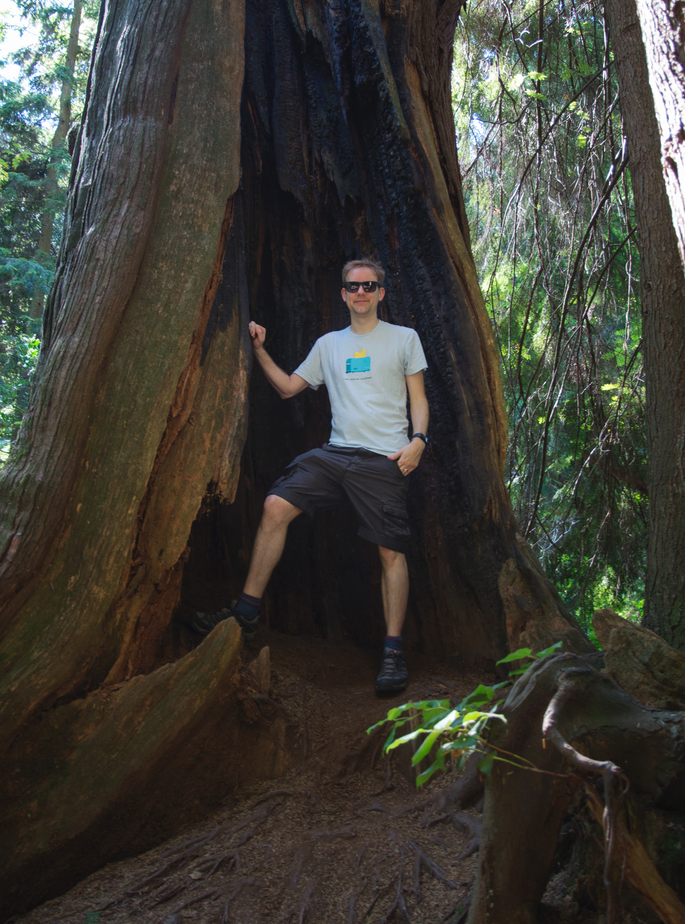 Man standing in burnt cedar tree