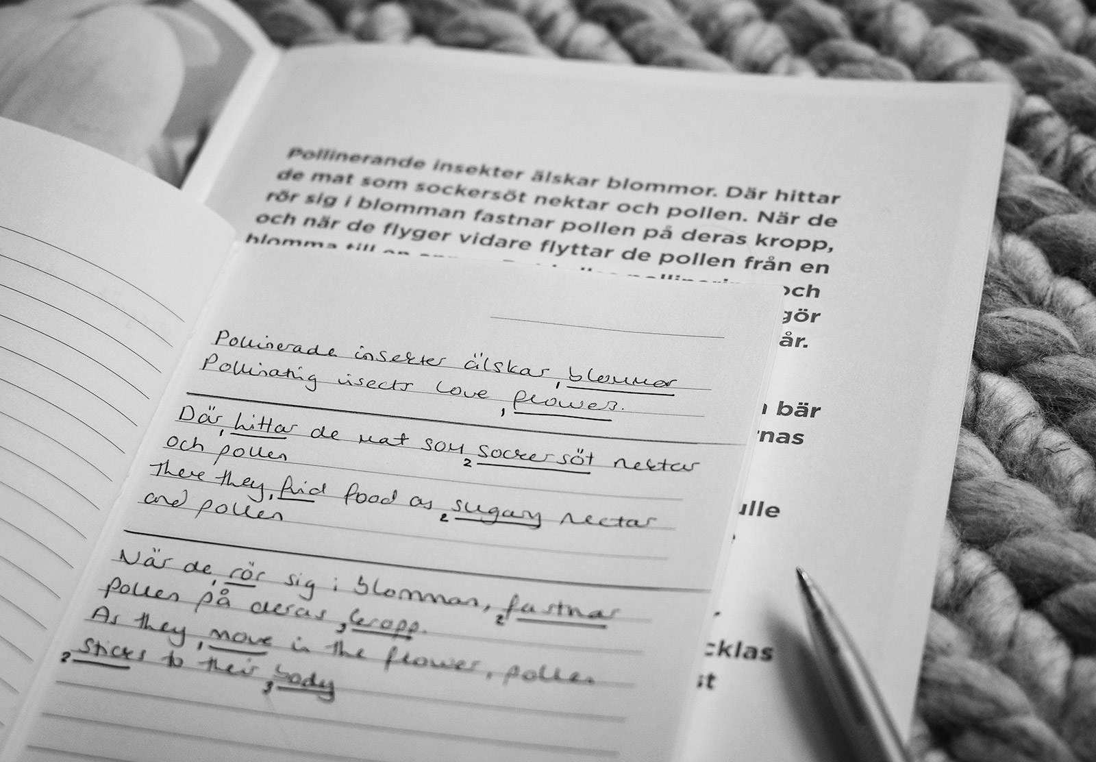 Language notes