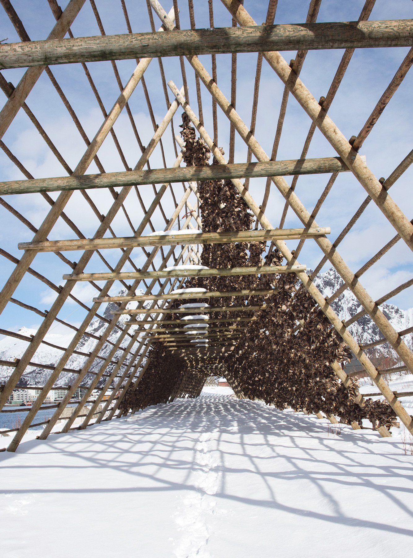 View inside cod frame