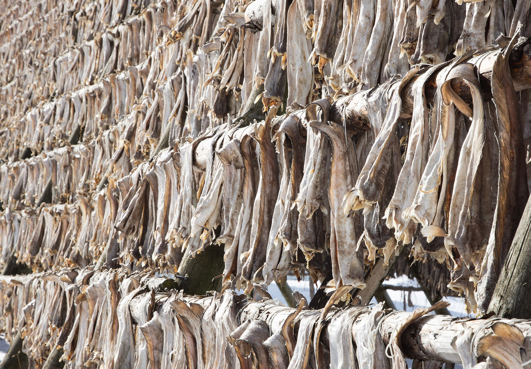 Hanging cod