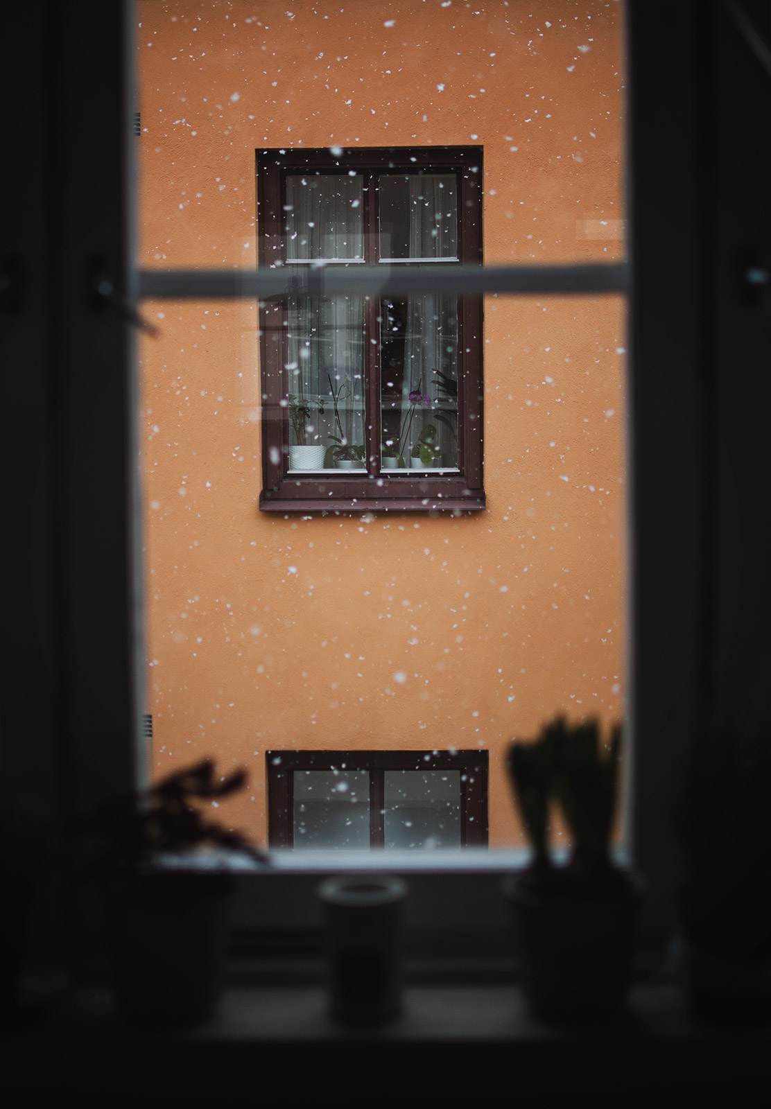 Snow in window