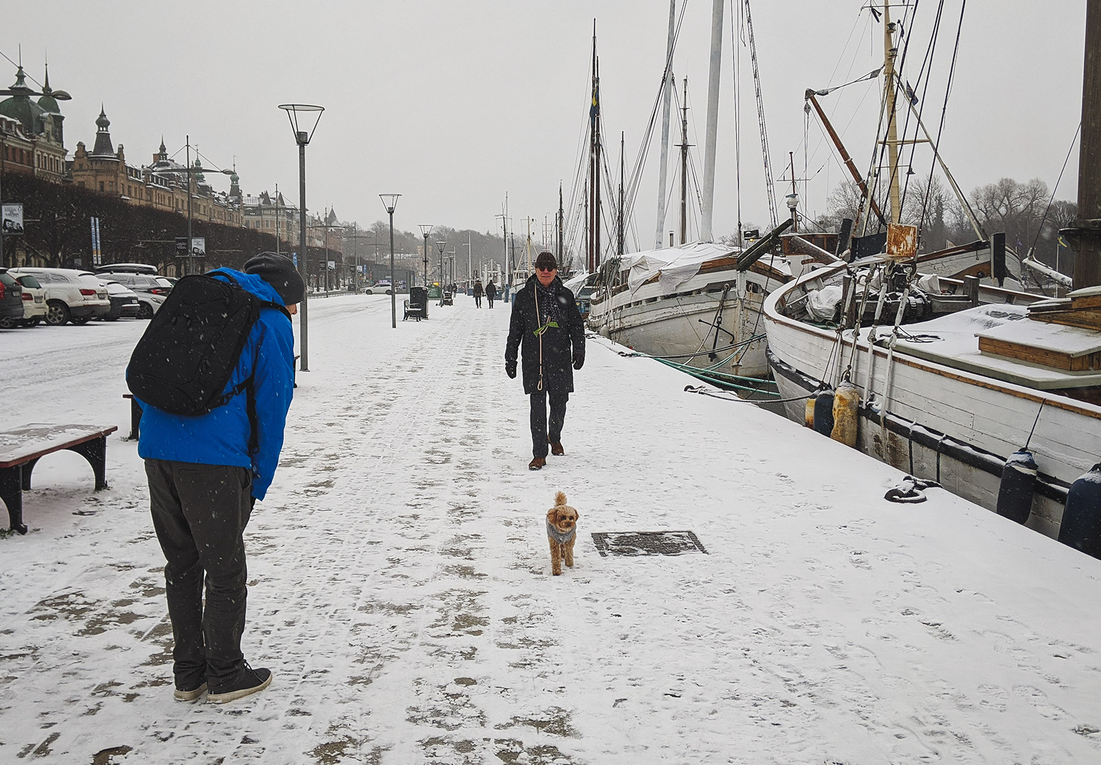 Man looking at dog