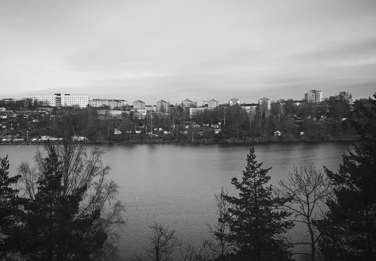 Apartments in the trees