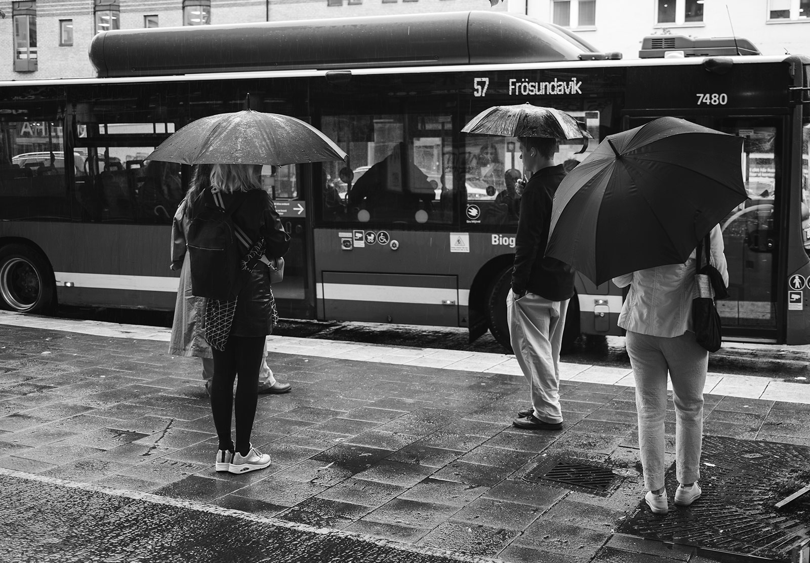 People with umbrellas