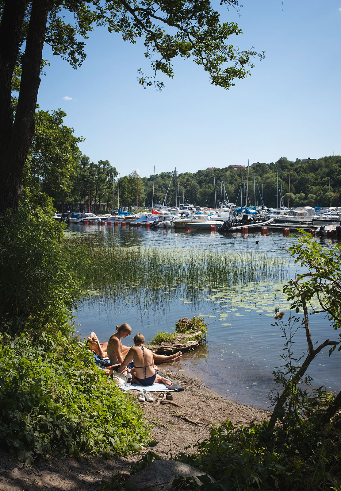 People sunbathing