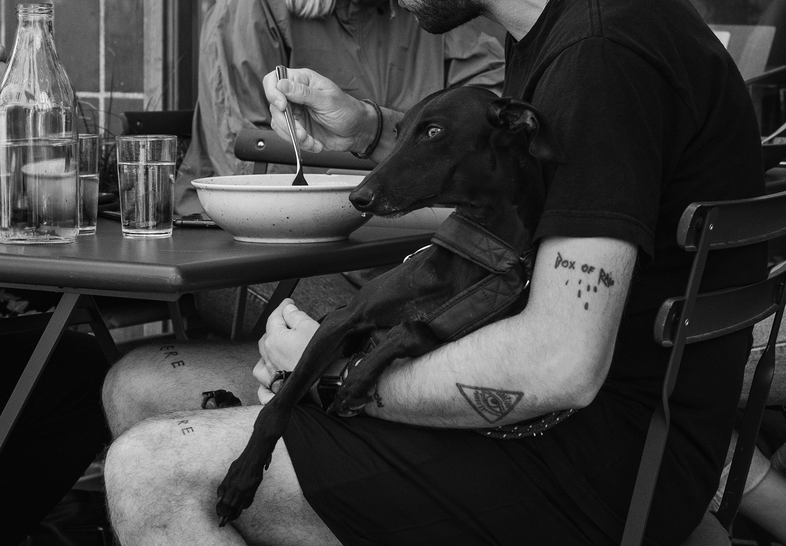 Dog in lap at restaurant