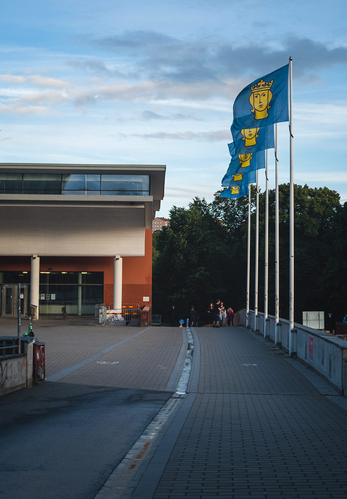 Flags on poles