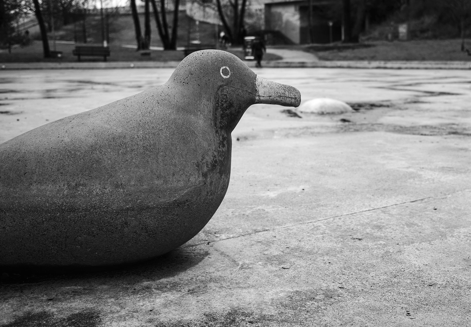 Concrete bird