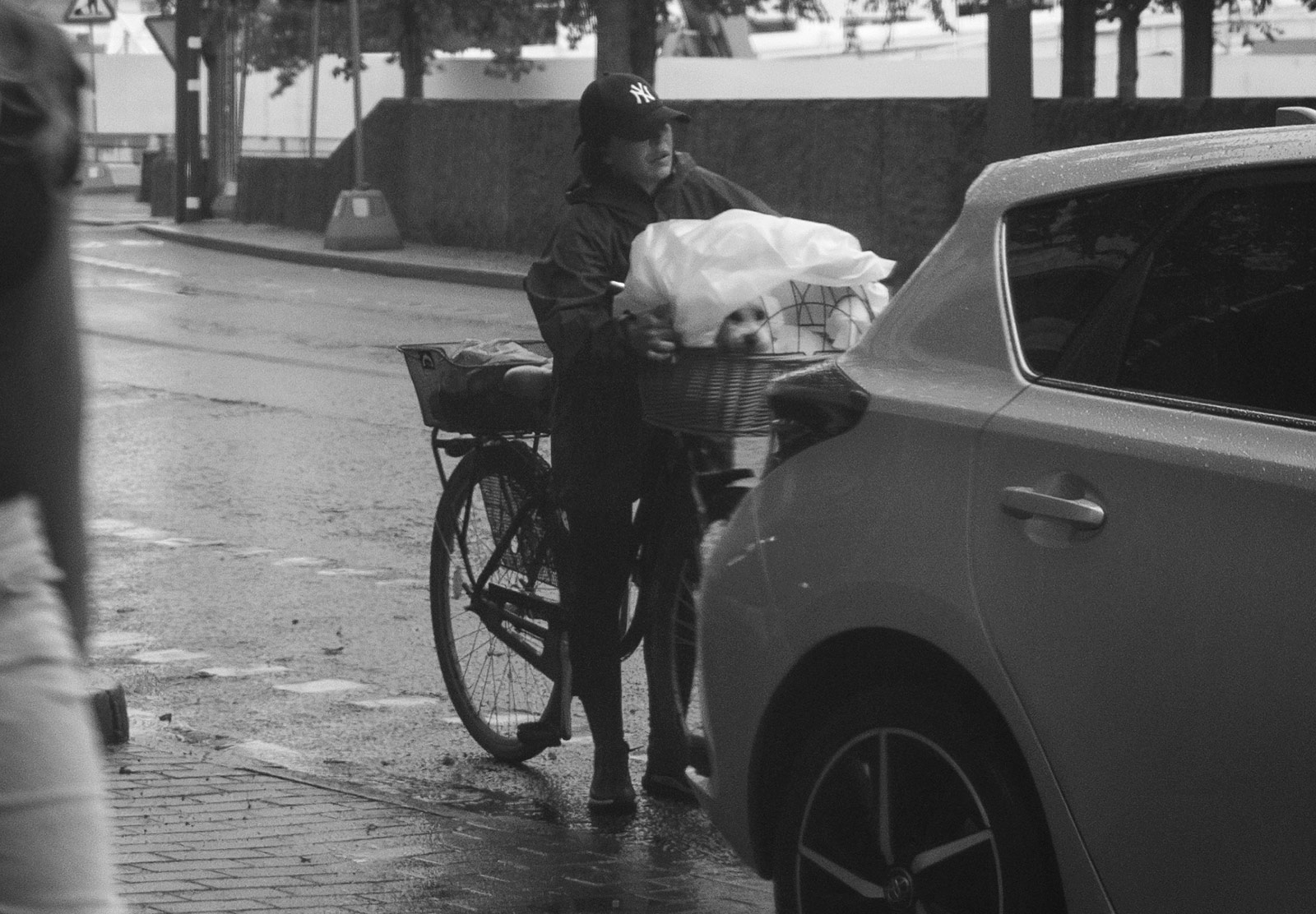 Plastic bag covering dog in basket