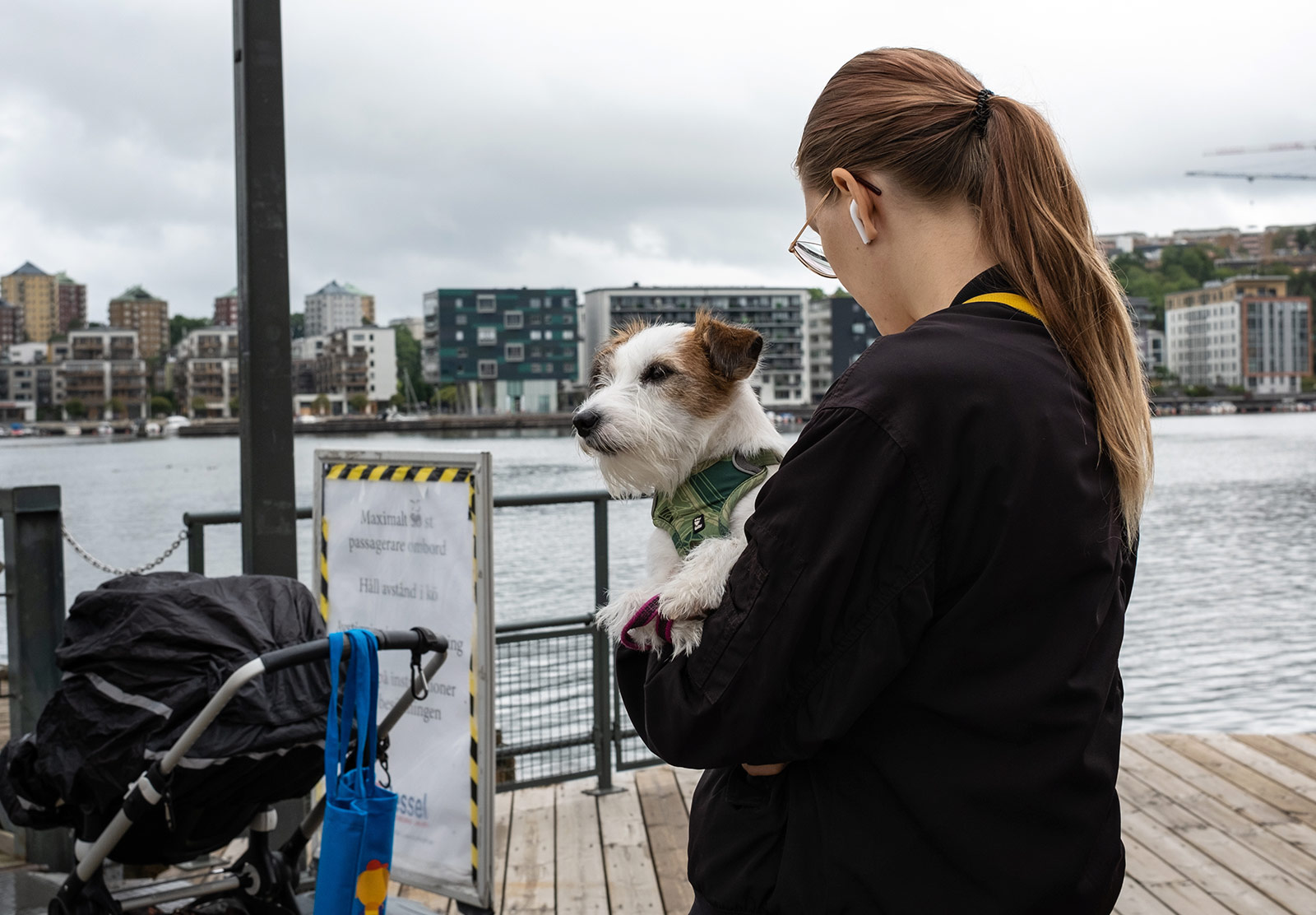 Dog being carried