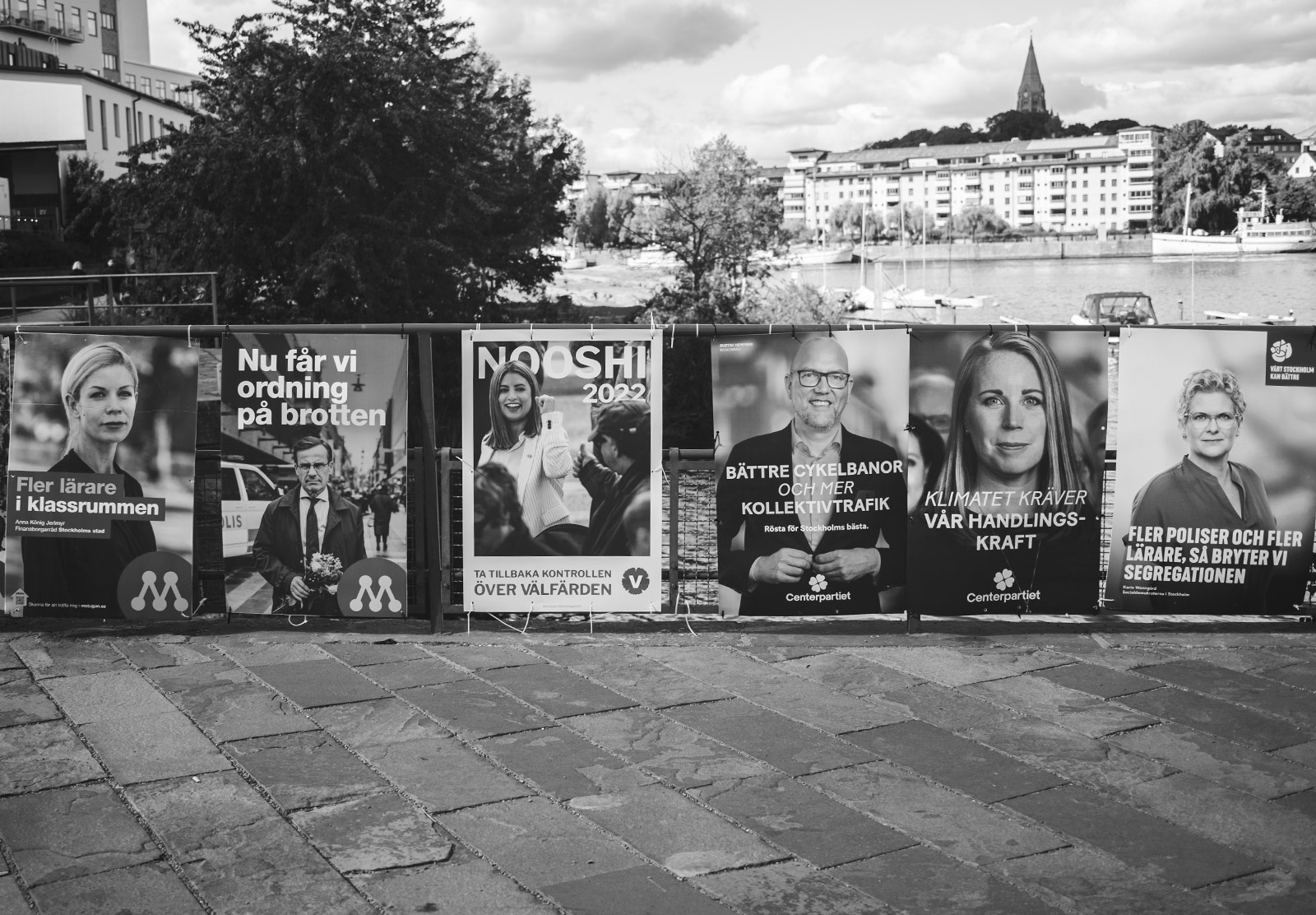 Row of election signs