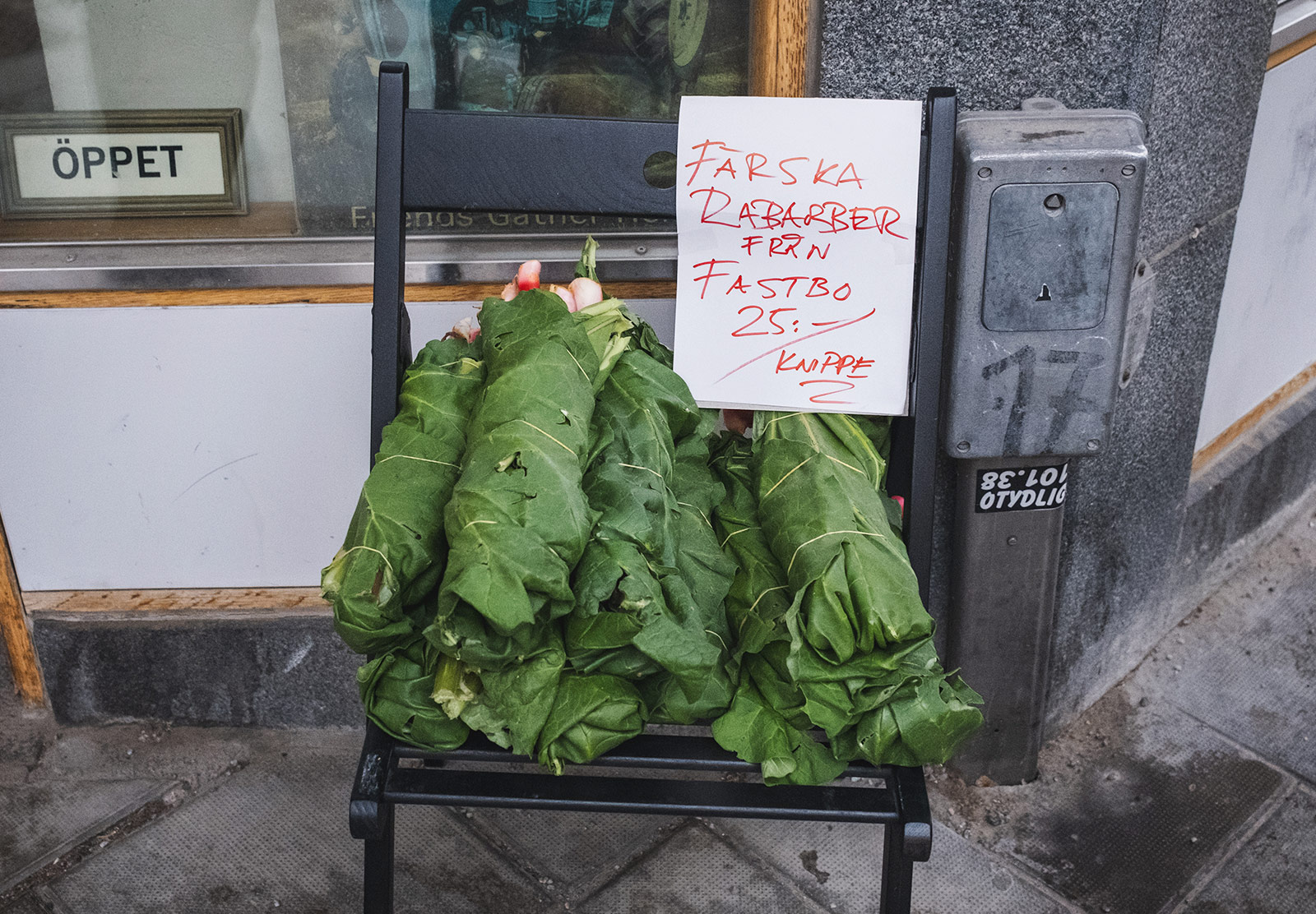 Färska Rabarber sign