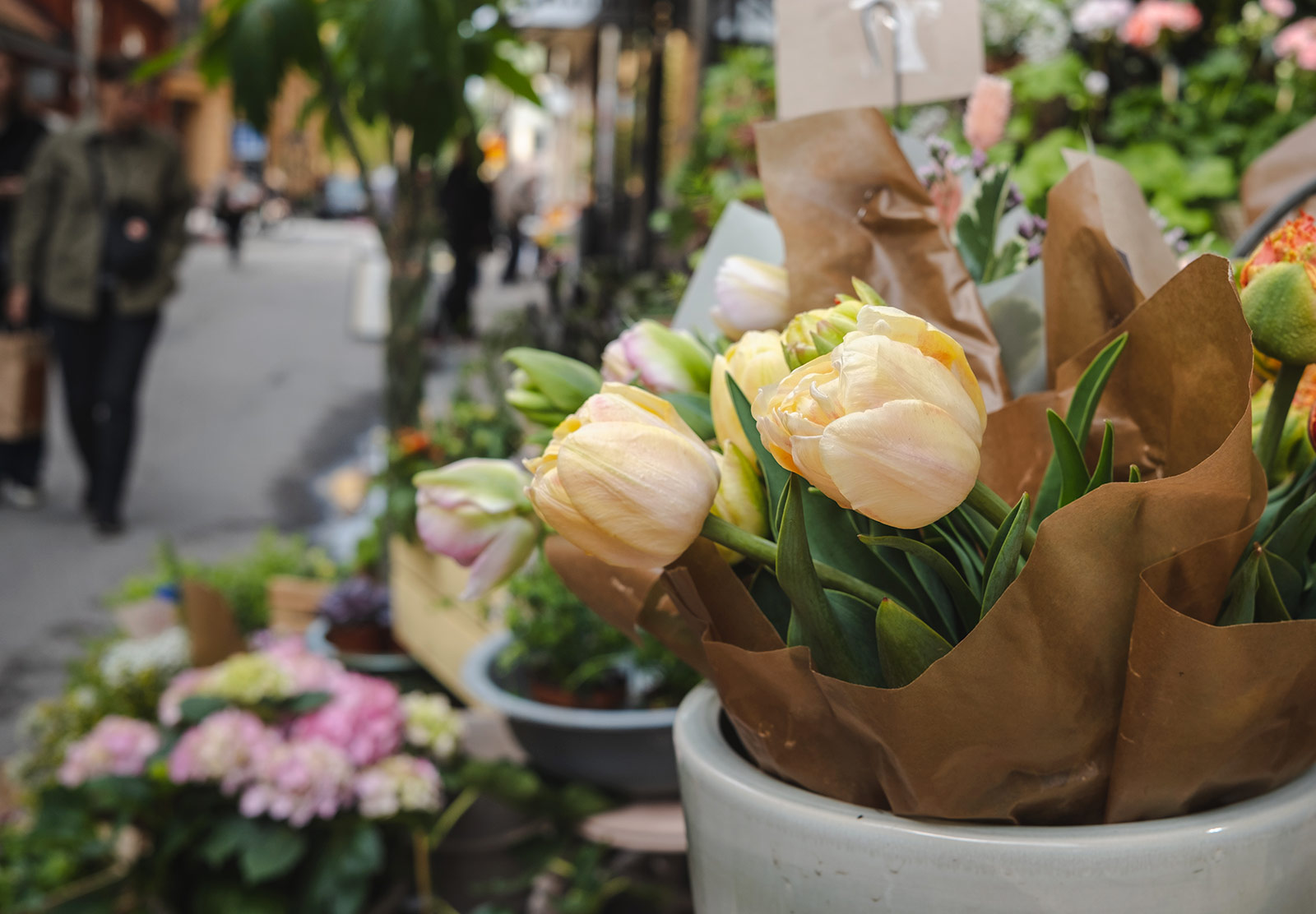 Tulips wrapped in paper