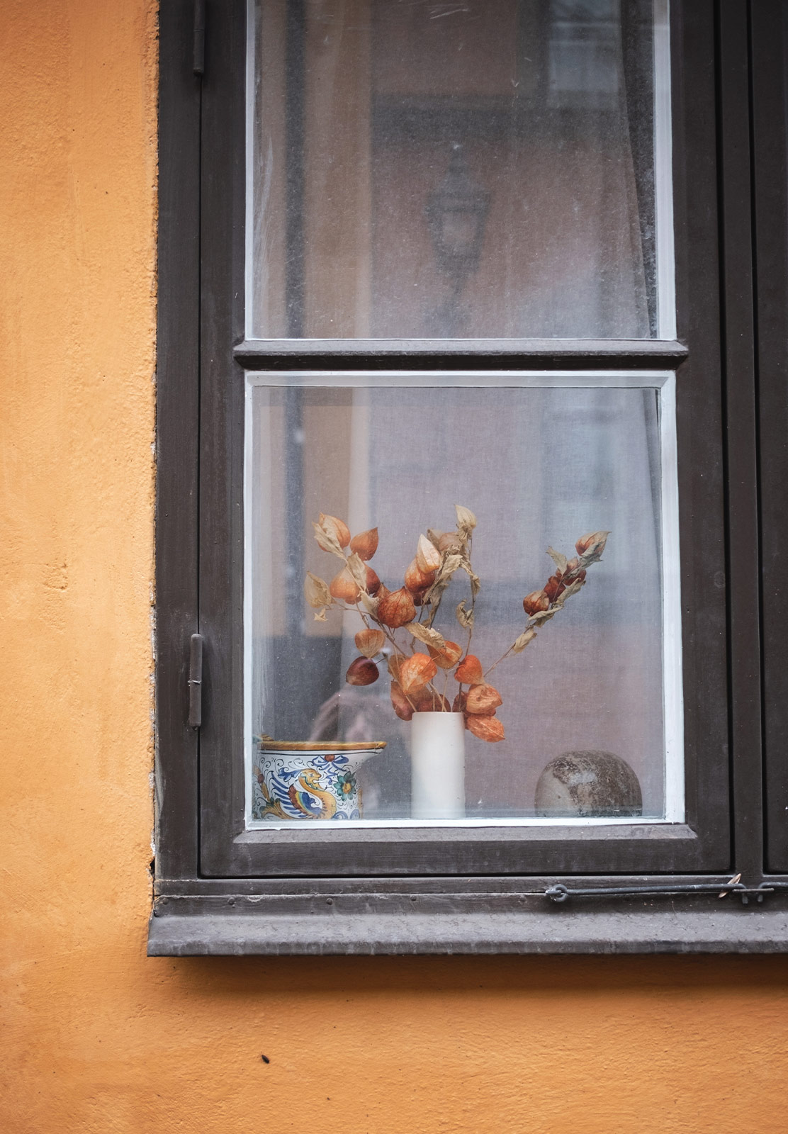 Dried flowers on windowsill