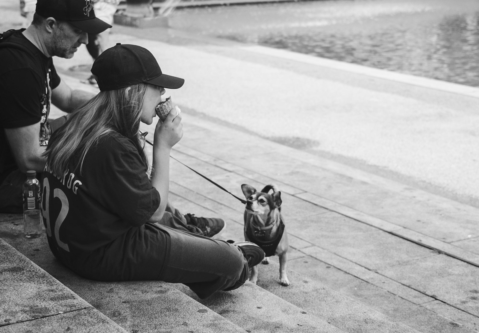 Dog watching girl eat ice-cream