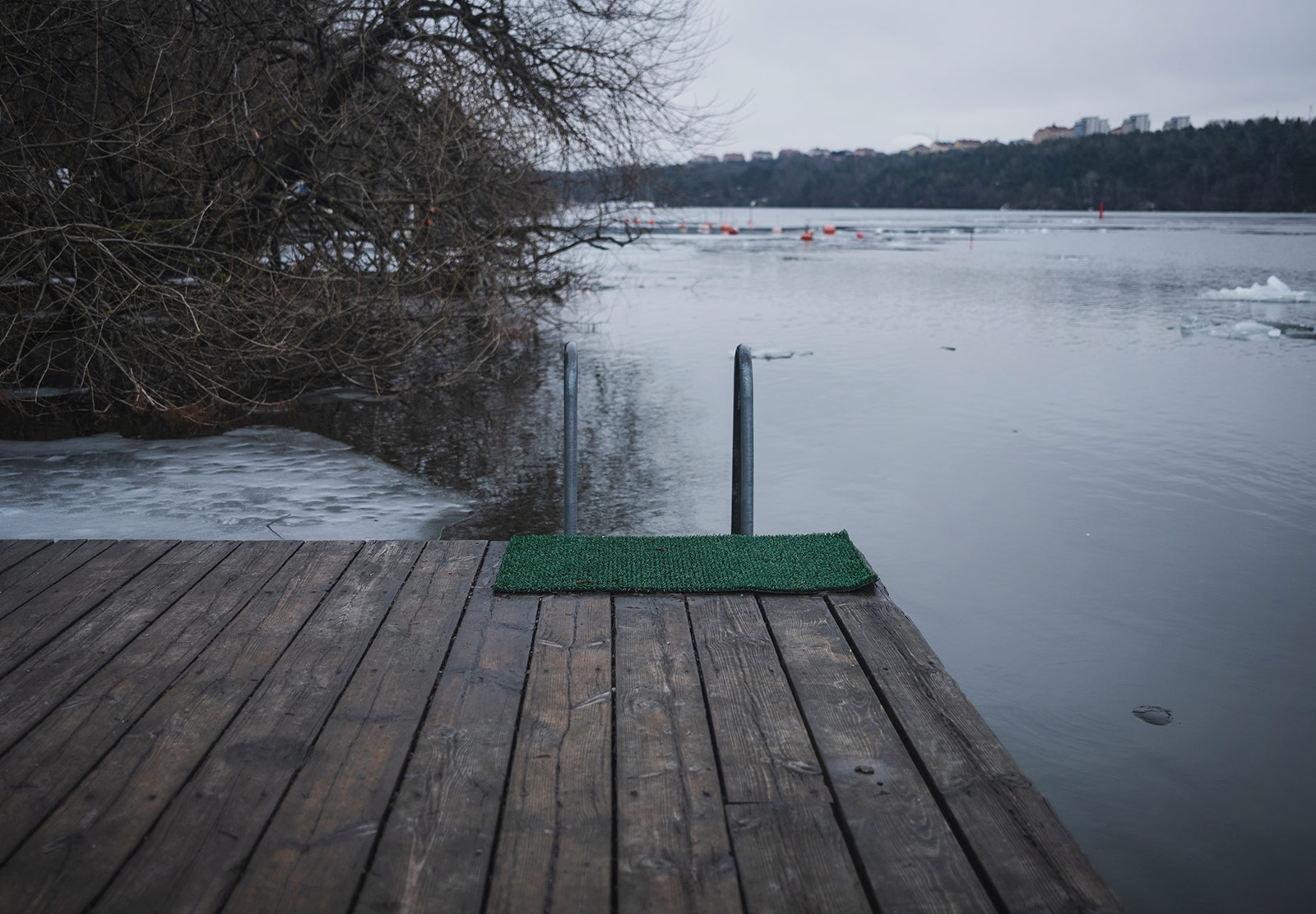 Railings into icy water