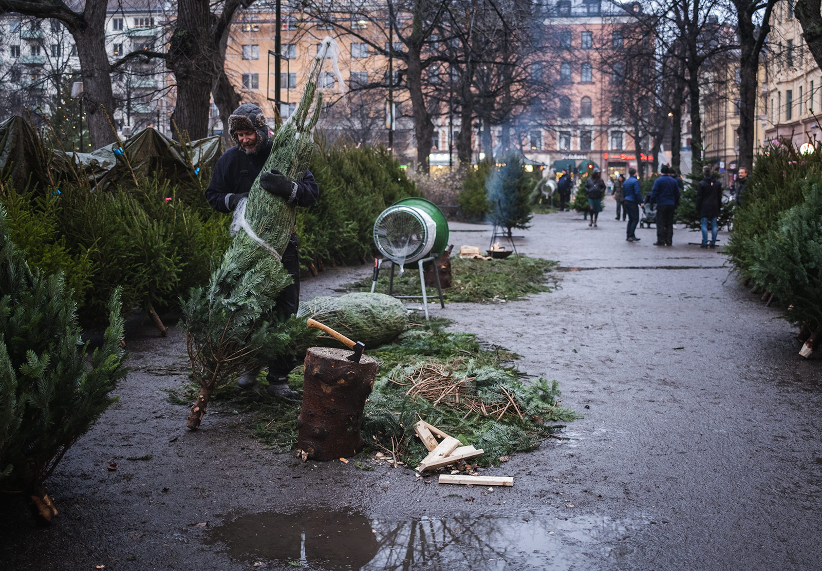 Man unwrapping Christmas tree