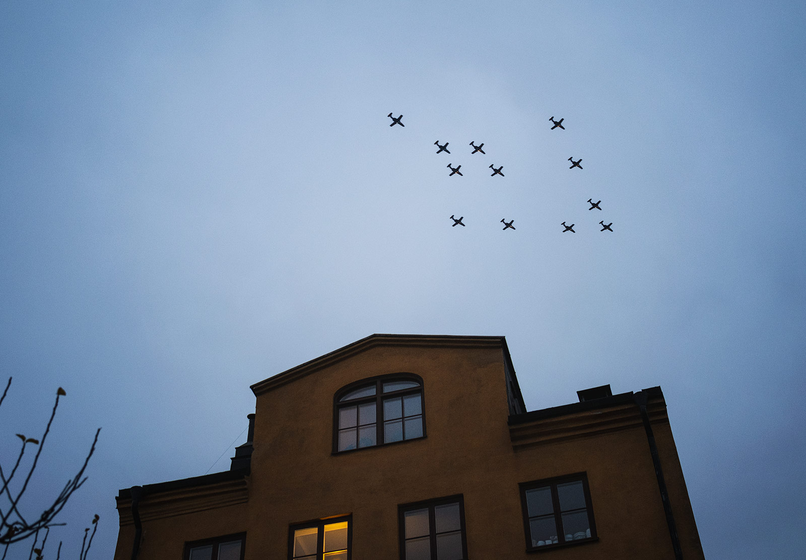 Planes in tree formation