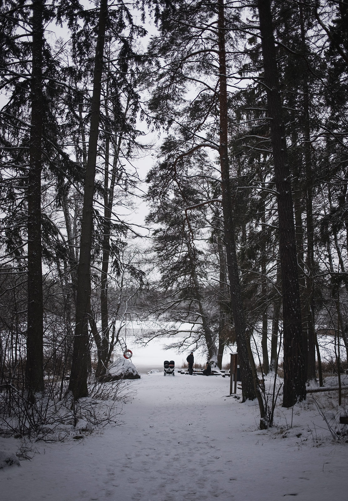 View of frozen lake through trees