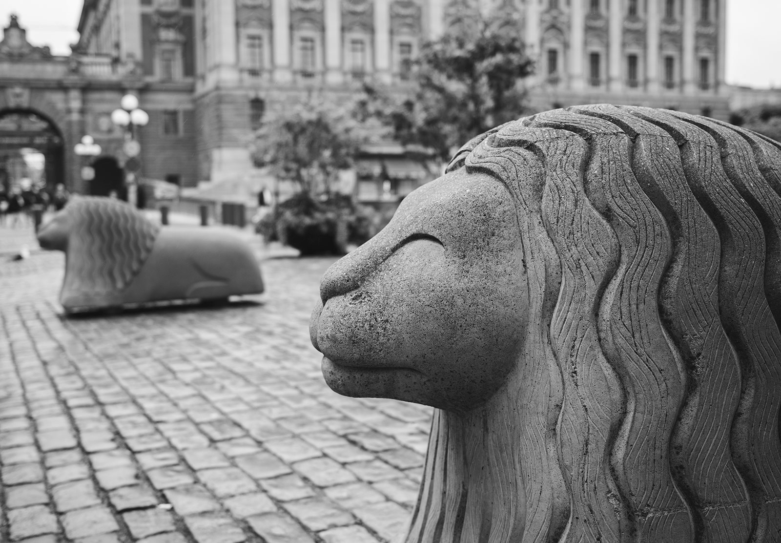 Concrete lions