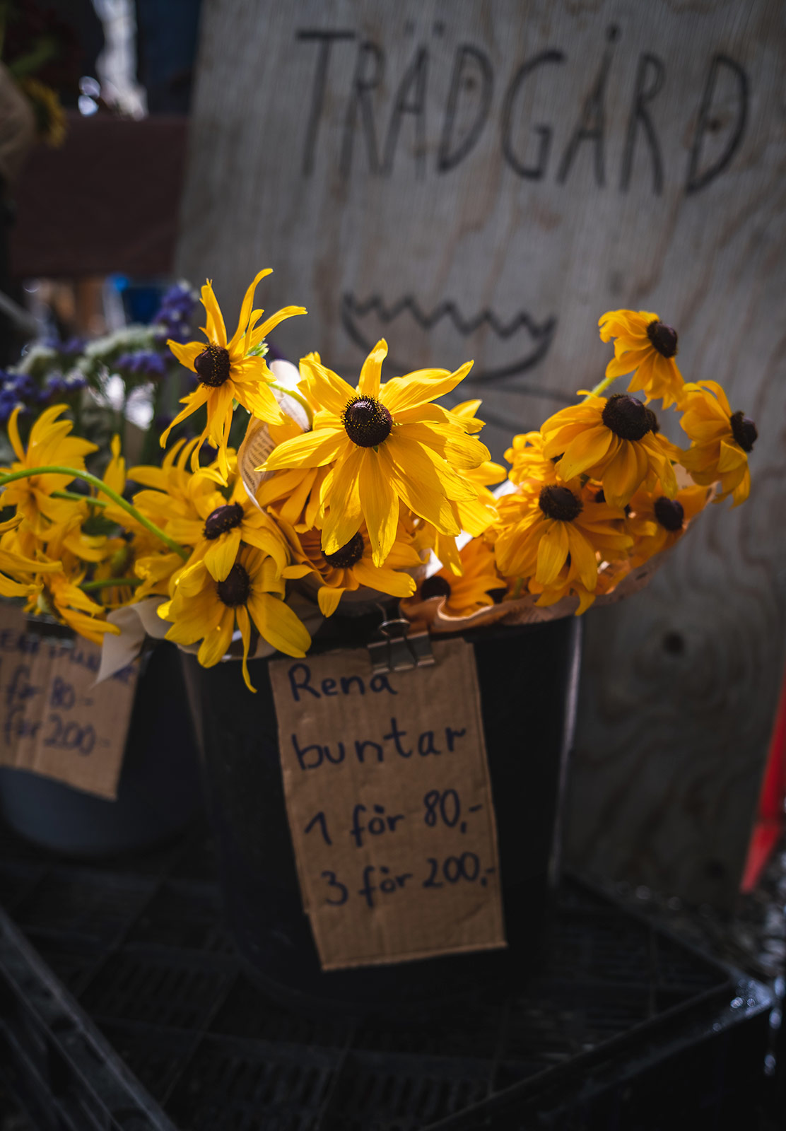 Yellow flowers in bucket