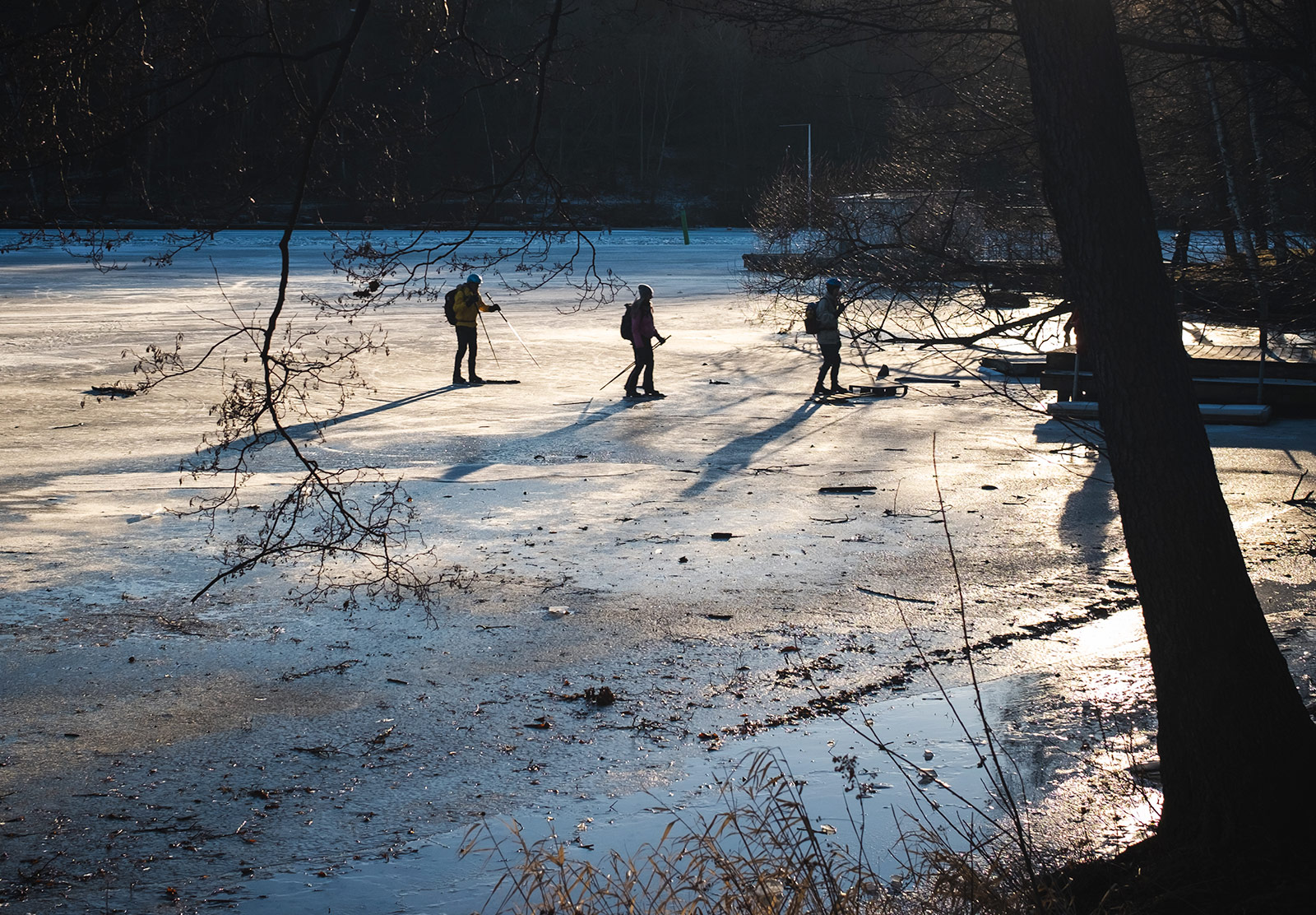 Skaters on ice