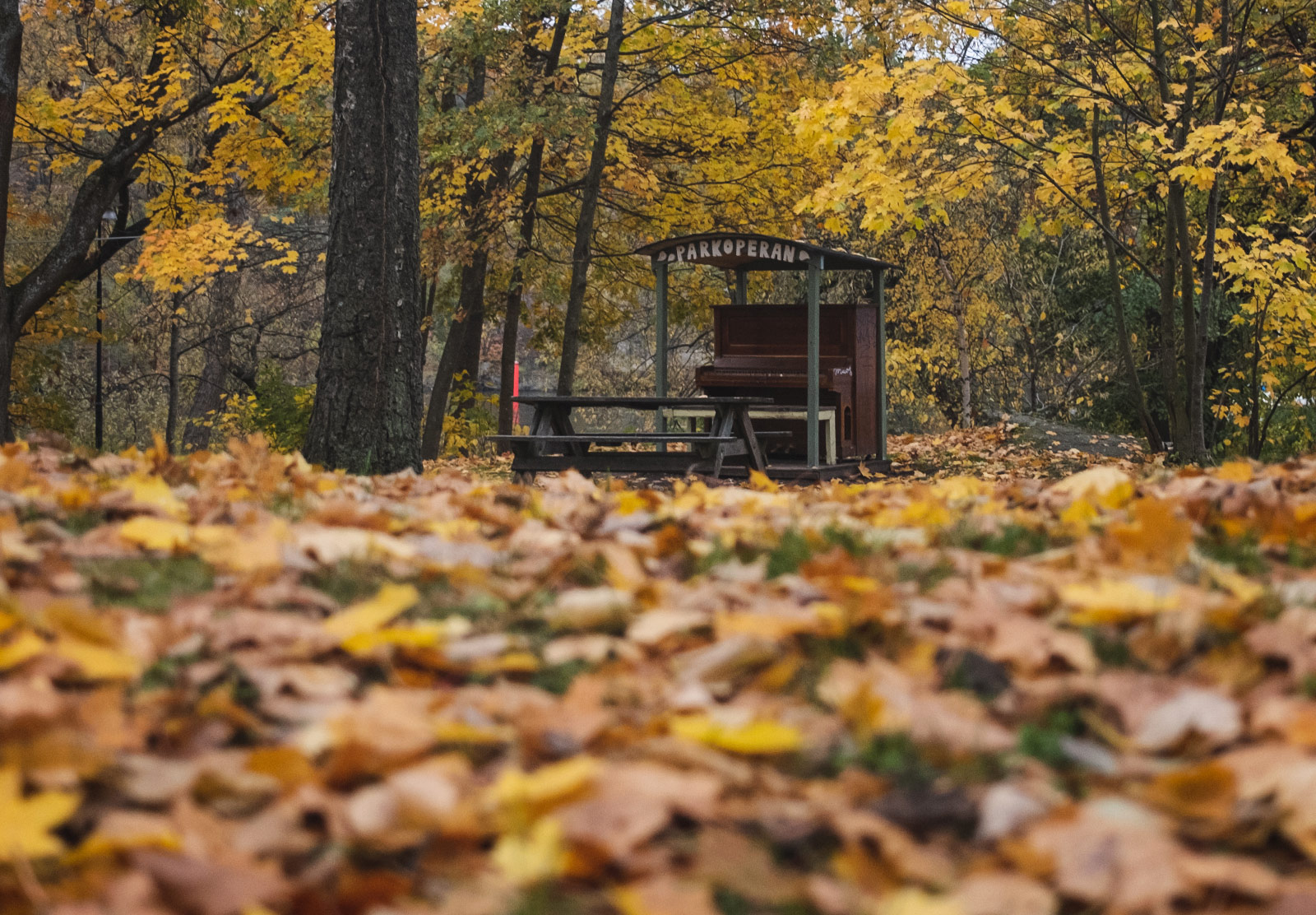 Piano in a park