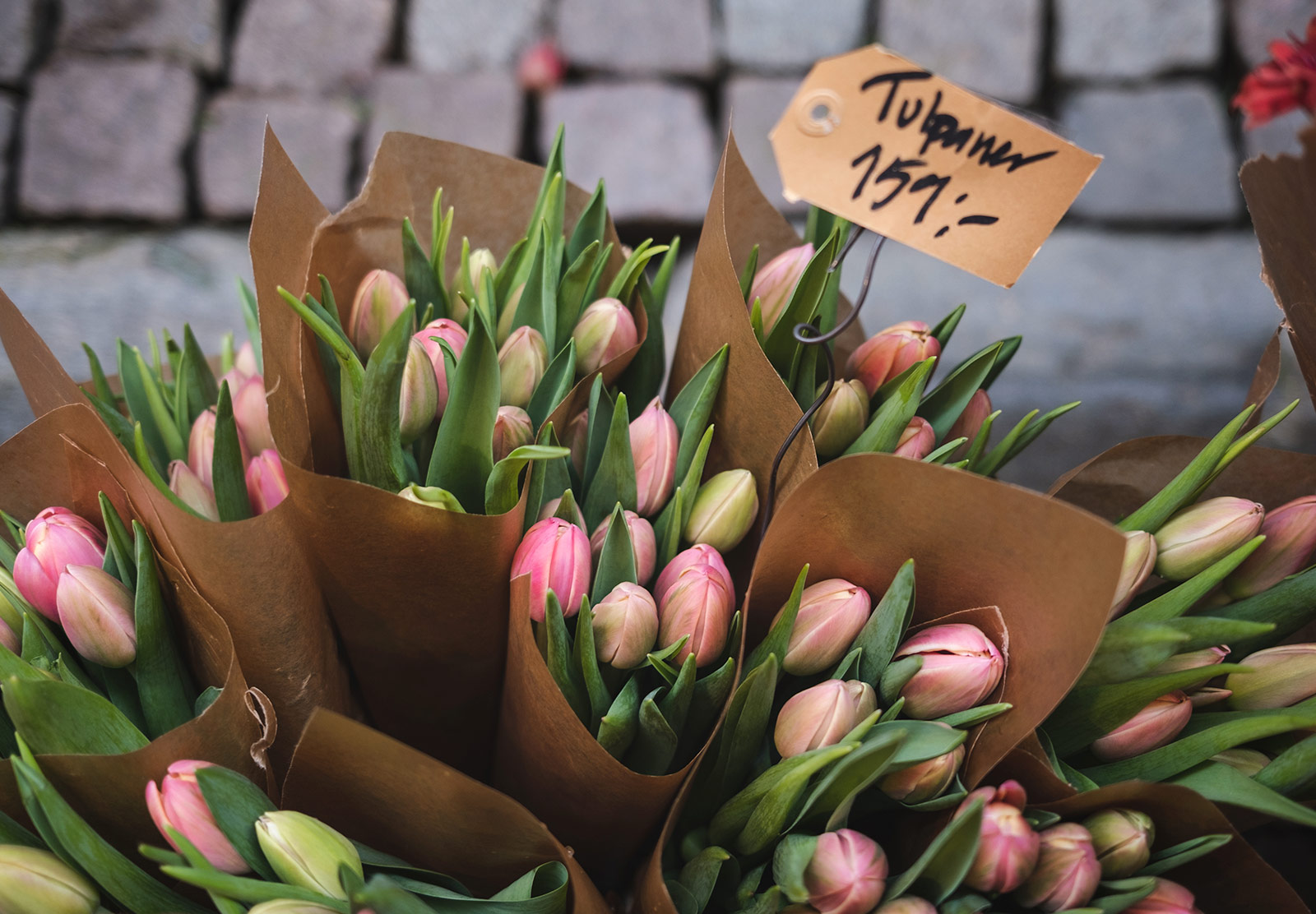 Bouquets of pink tulips