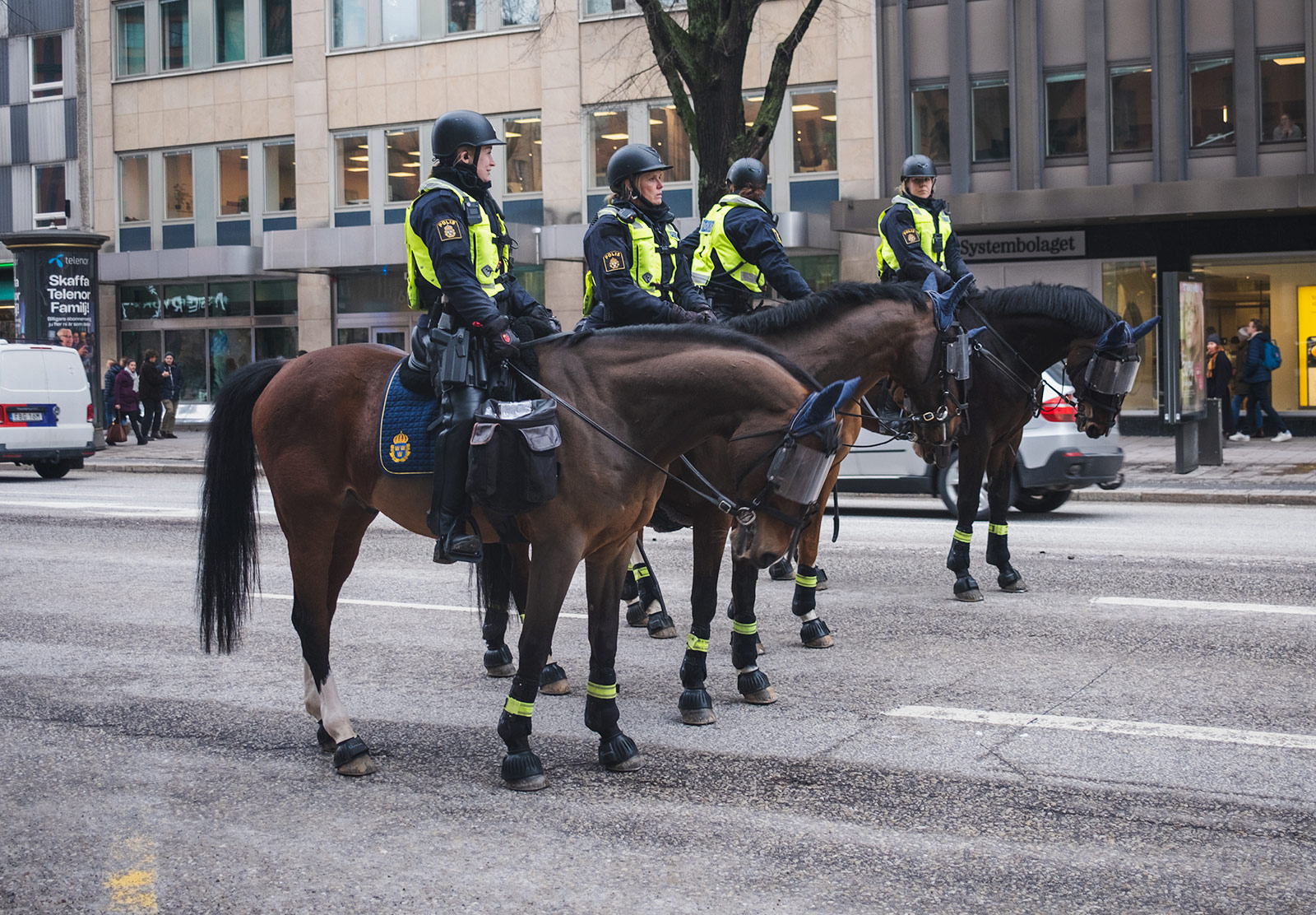 Row of police on horseback