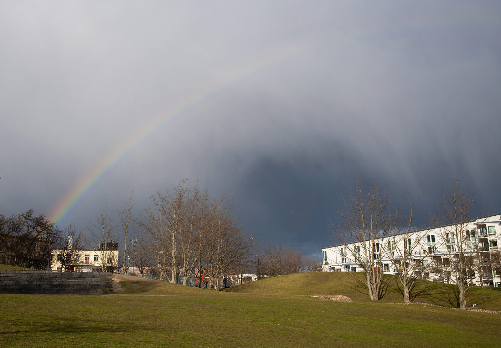Rainbow over grass